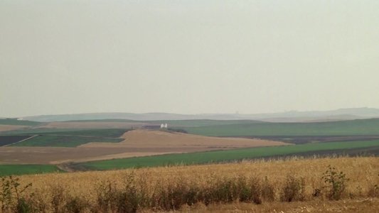 El huerto del francés