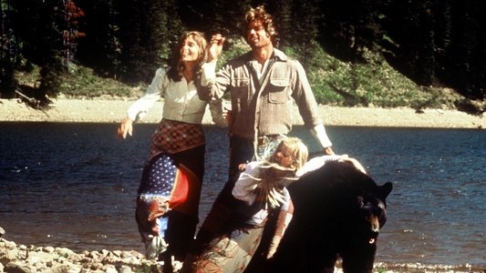 The Adventures of the Wilderness Family