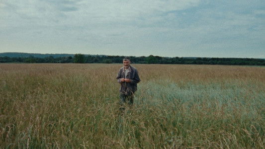 Sept promenades avec Mark Brown