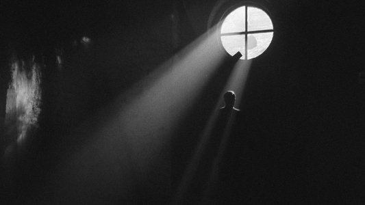 The Fugitive