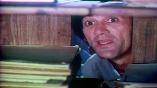 Robin Hood, O Trapalhão da Floresta