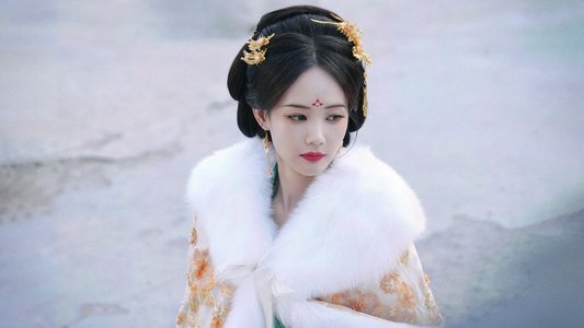 书卷一梦