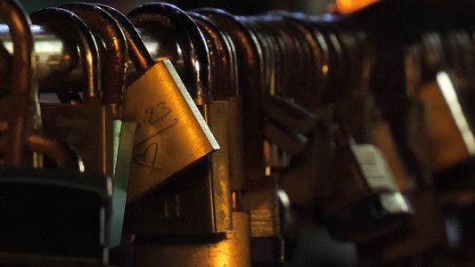 The Anthology of the Night