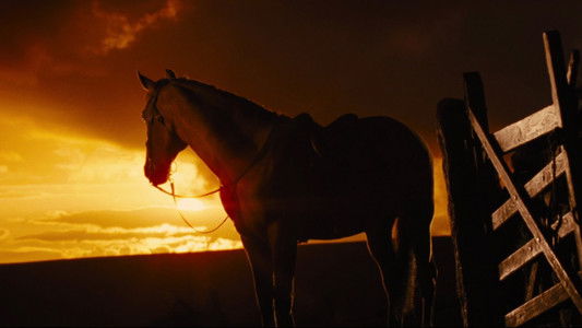 War Horse