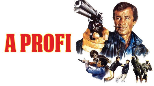 Le Professionnel