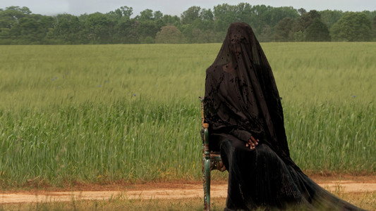 The Woman in the Yard