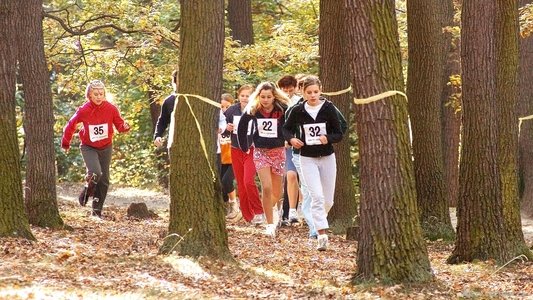 Zastřený hlas