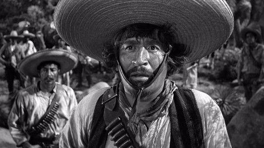 The Treasure of the Sierra Madre