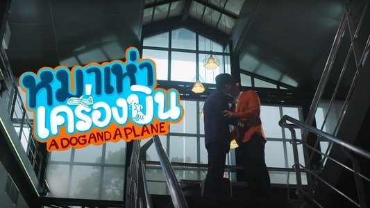 หมาเห่าเครื่องบิน