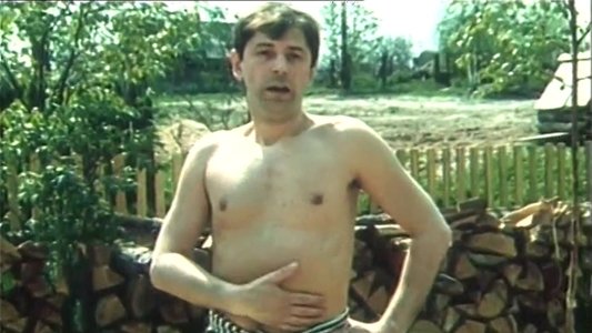 Во бору брусника