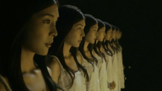 ショコラの見た世界