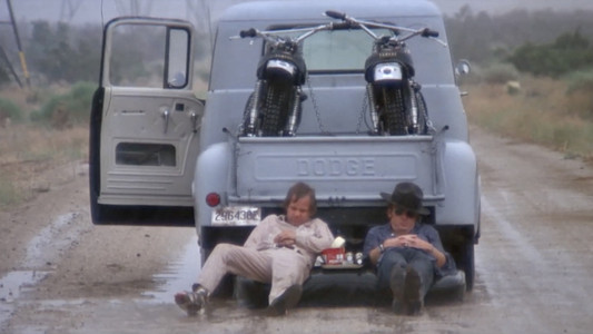 Little Fauss and Big Halsy