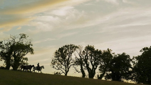 A Knight of the Seven Kingdoms