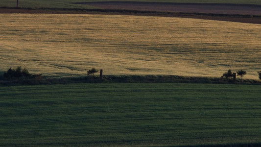 Ça commence aujourd'hui