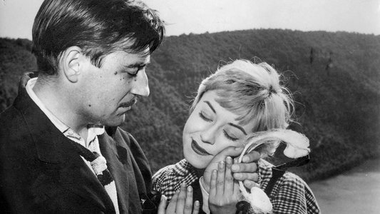 Le notti di Cabiria
