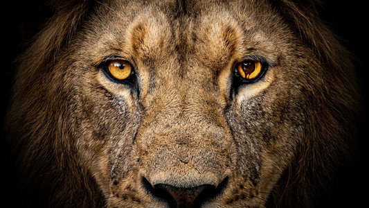 Zoo