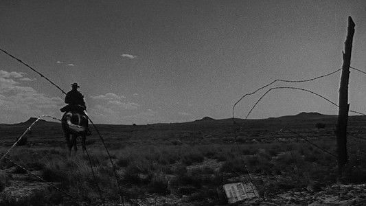 Lonely are the Brave