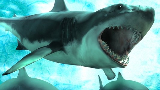 Shark Queens