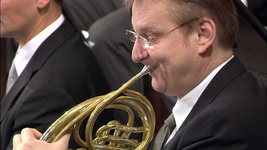 Neujahrskonzert der Wiener Philharmoniker 2009