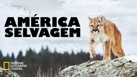 America the Wild with Casey Anderson
