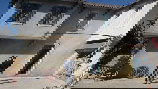 Άγριες Μέλισσες