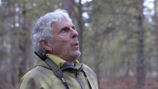 Langue des oiseaux