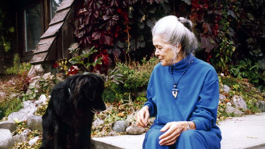 Kathleen Shannon: On Film, Feminism & Other Dreams