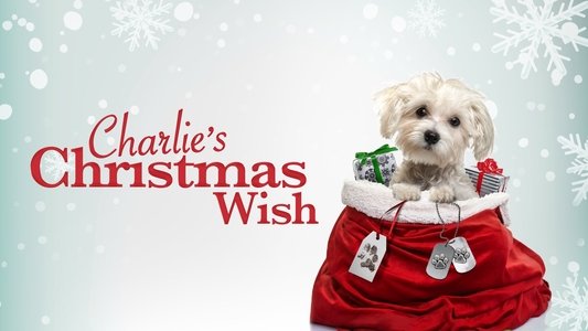 Charlie's Christmas Wish