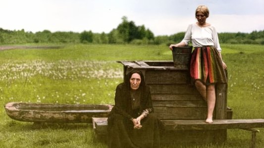 Brzezina