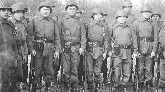 Los chiflados del batallón