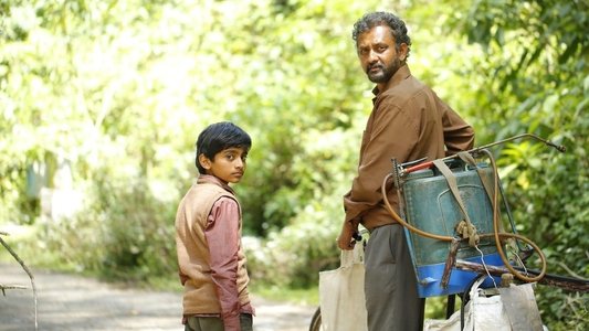 அக்கா குருவி