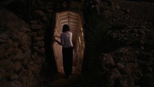 טרופיקנה