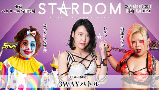 高田馬場大会～日本武道館大前夜祭