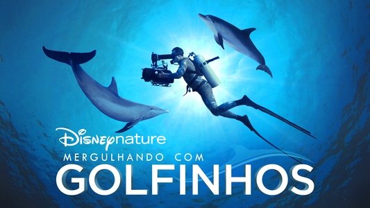 Diving with Dolphins