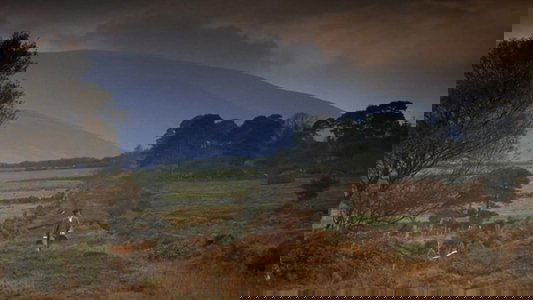 Barry Lyndon