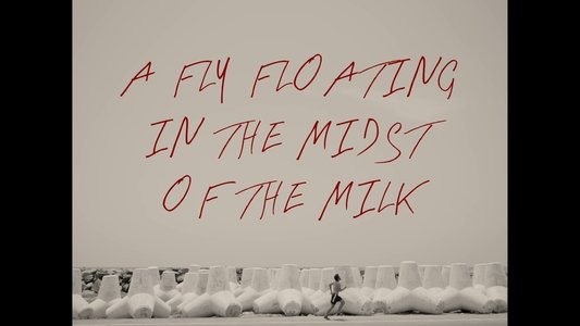 A Fly Floating In The Midst Of The Milk
