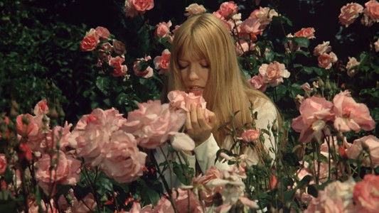 La Faute de l'abbé Mouret