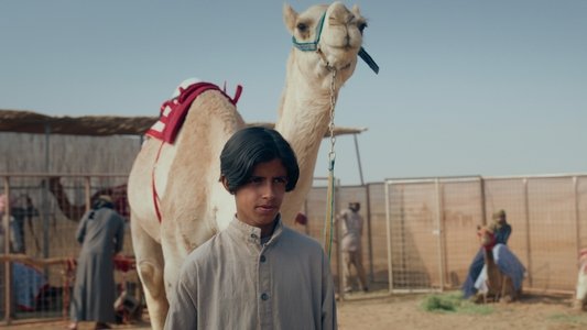 هجّان