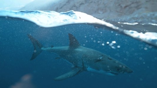 Big Pacific