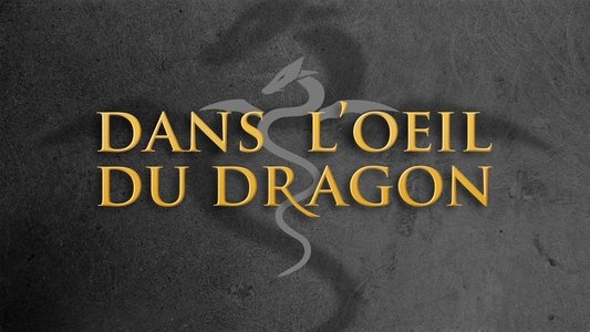 Dans l'oeil du dragon