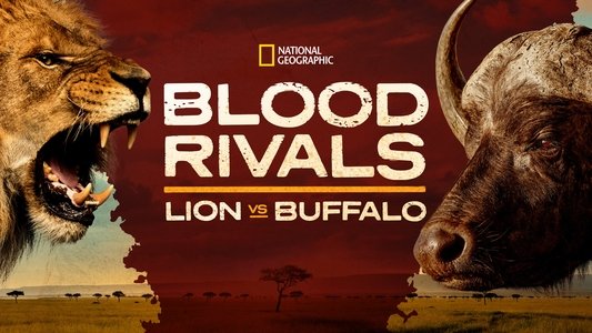 Blood Rivals: Lion vs Buffalo