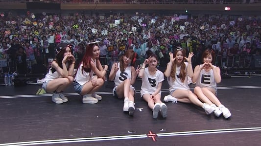 T-ARA Japan Tour 2013 - Treasure Box- 2nd TOUR FINAL In Budokan