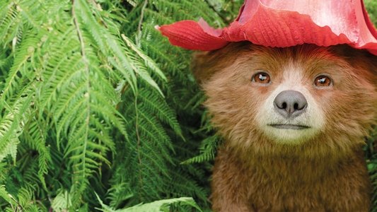 Paddington in Peru