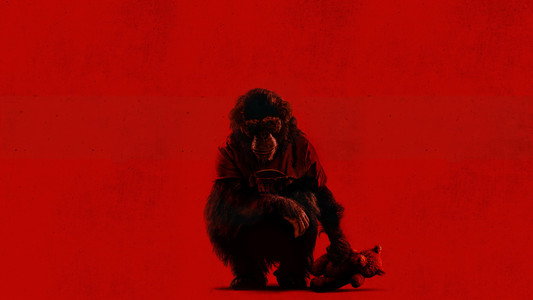Primate