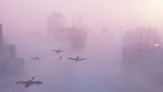 Migration