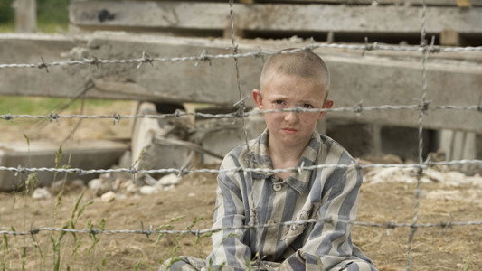 The Boy in the Striped Pyjamas