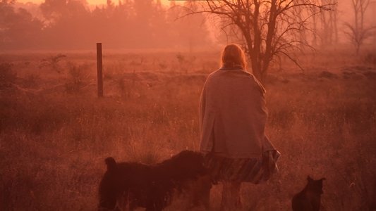 La mujer de los perros