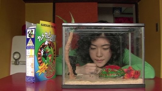 亀は意外と速く泳ぐ