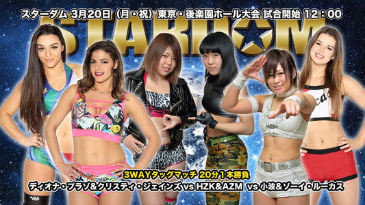 STARDOM  THE  HIGHEST2017