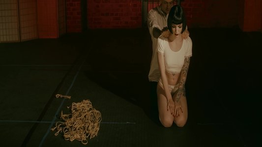 The Pleasure in Pain